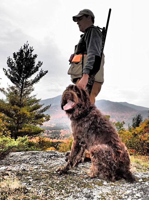 Guided Adirondack Grouse and Woodcock Hunts New York
