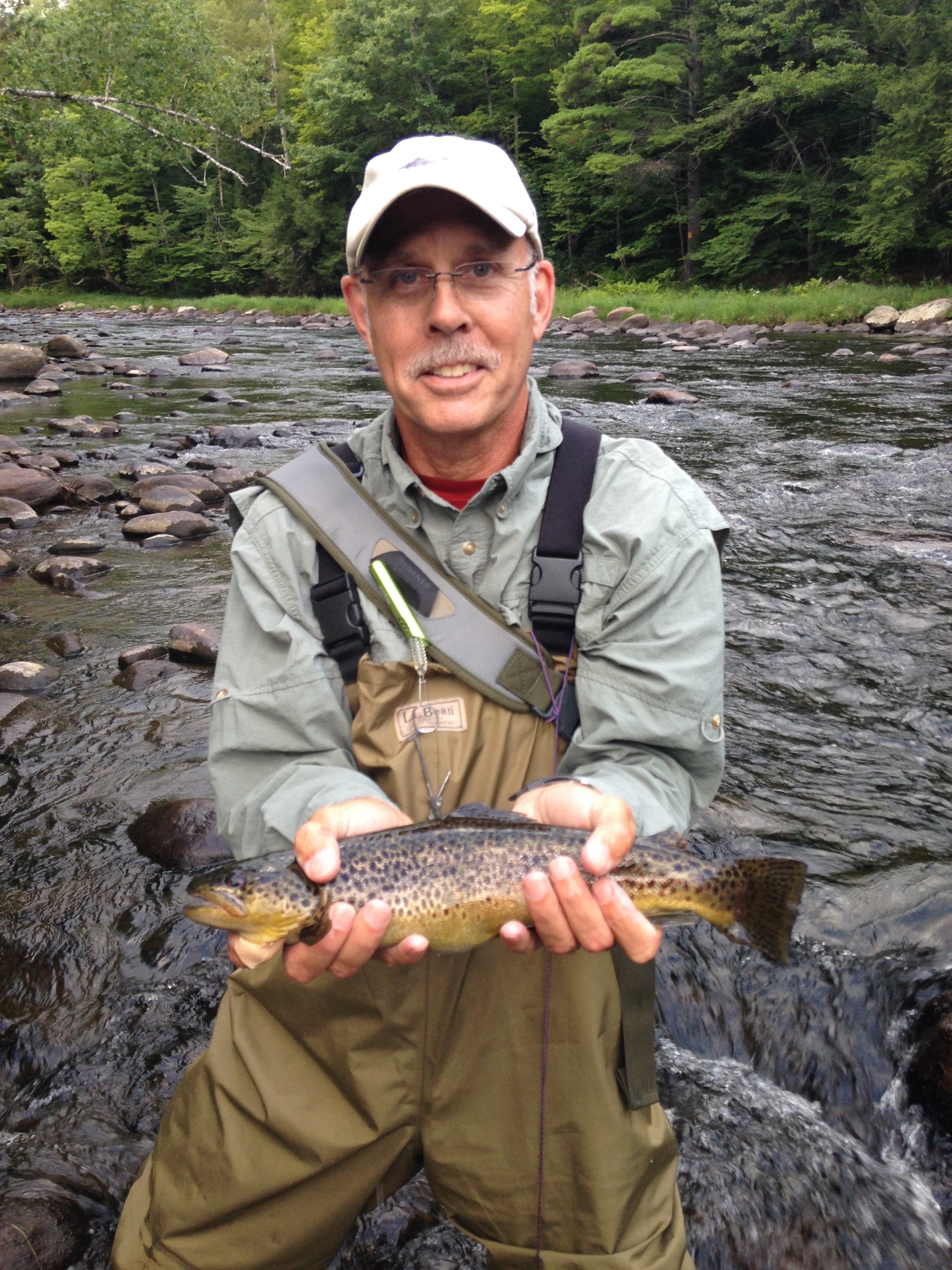 West Branch Ausable River brown trout