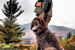 Adirondack-Bird-Hunt-Guide-web