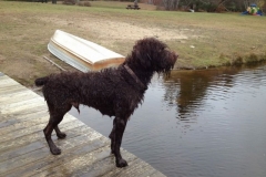 Tucker on Goose watch