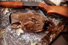 grouse 2015