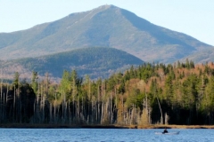 Adirondack-Fishing-Guide-Whiteface- Nessmuk's Guides