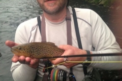Luc's high water brown trout on the west branch of the Ausable River