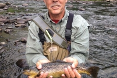 Ron's Nice Ausable brown 2