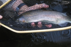 Fly Fishing in the Adirondacks with Nessmuk's Guides