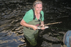 Fly Fishing in the Adirondacks with Nessmuk's Guides