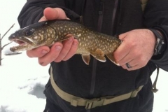 Lake Trout remote pond