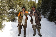 adirondack snowshoe hare 2