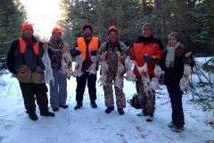 snow shoe hare group